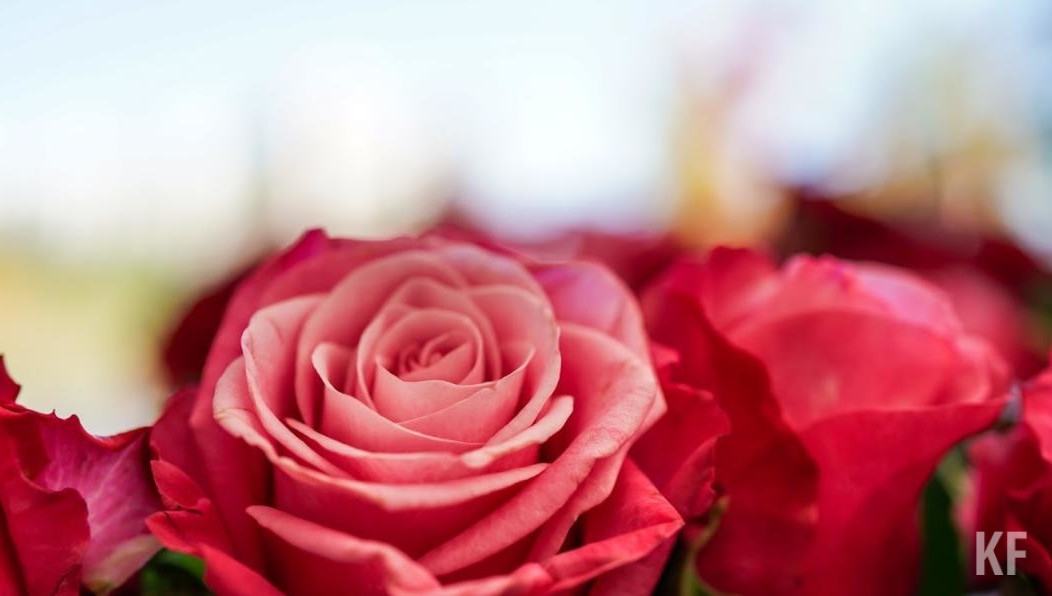 Подарки мужьям ко Дню святого Валентина в Казани за год стали дороже на 20 процентов