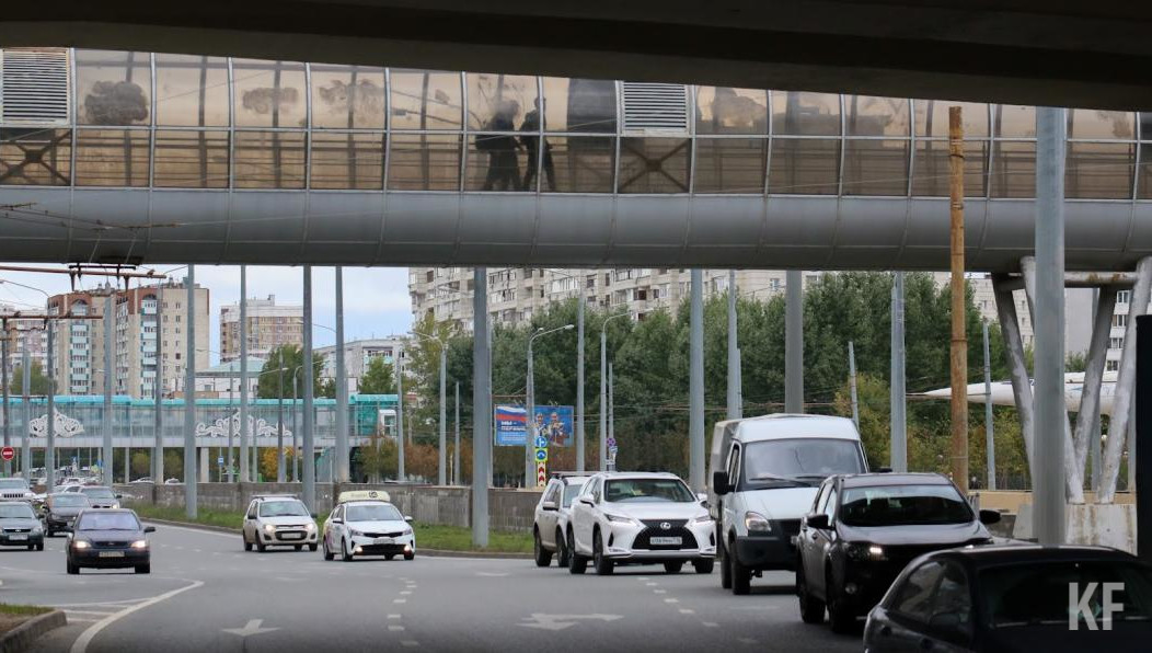 Информацию о полученных правах передадут на портал госуслуг.