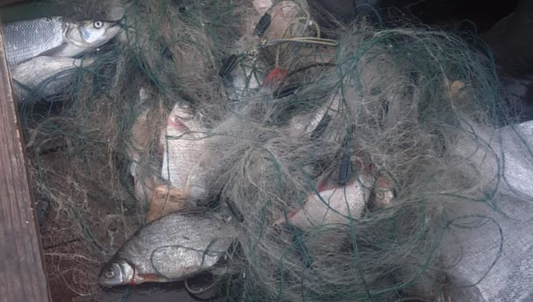 Решается вопрос о возбуждении уголовного дела.