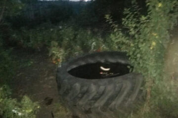 Взрослые в этот момент находились в доме.