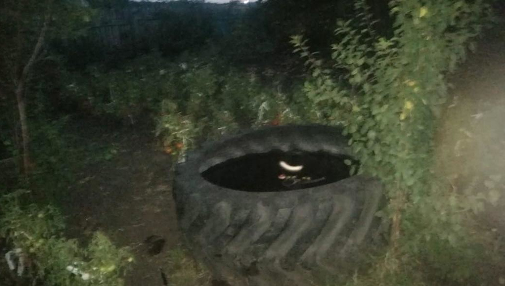 Взрослые в этот момент находились в доме.