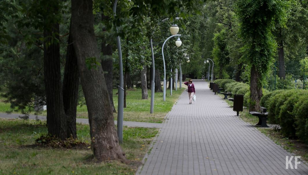 Отрасль зеленого хозяйства находится в шатком положении. Пока столице Татарстана не хватает квалифицированных кадров