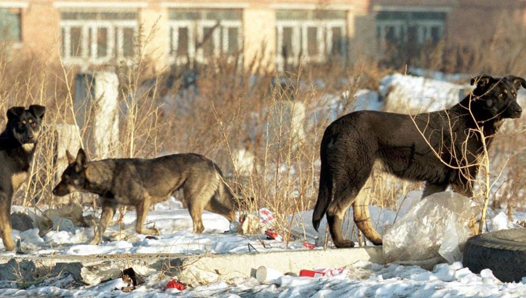 Часть тела юноши обнаружили у местного «Водоканала».