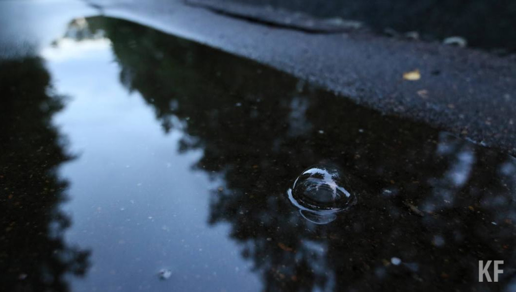 Прогнозируется усиление ветра до 15-20 метров в секунду