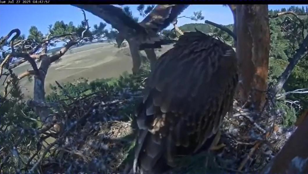 Айдару и Айгуль исполнилось два месяца.