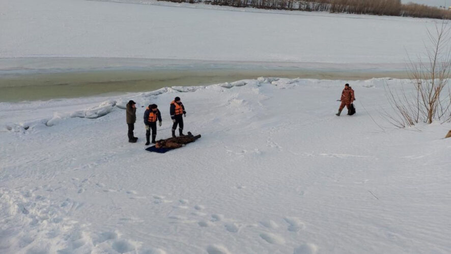 По словам очевидцев
