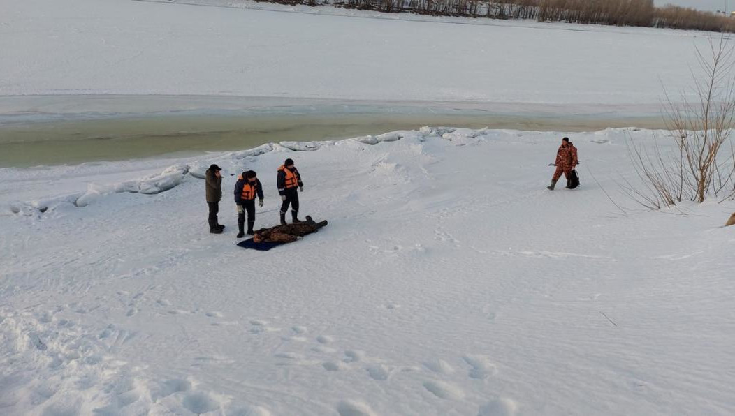 По словам очевидцев