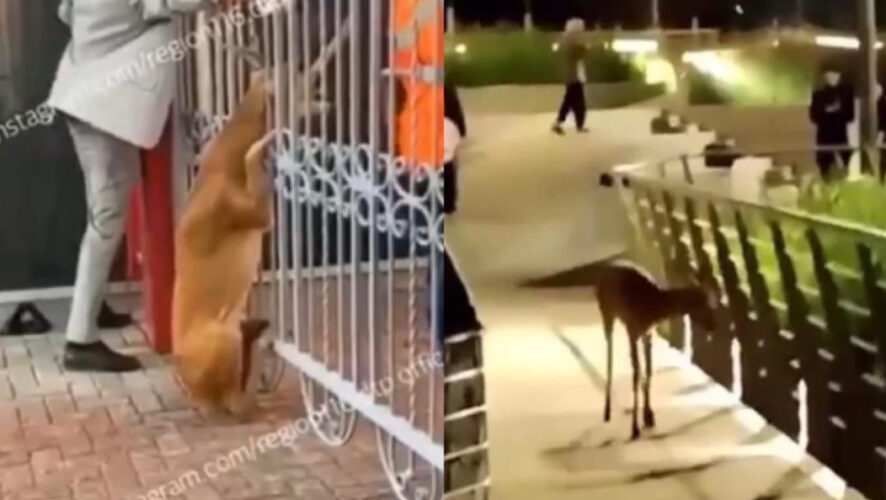 Ему помогли выбраться очевидцы.