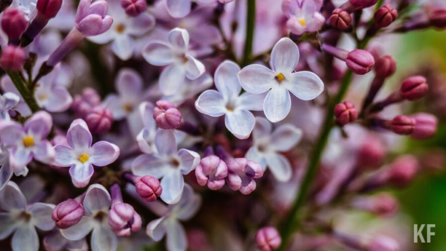 Есть некоторые приемы для облегчения этого состояния.