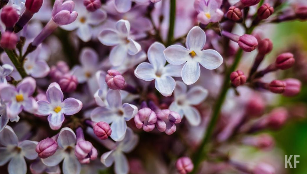 Есть некоторые приемы для облегчения этого состояния.