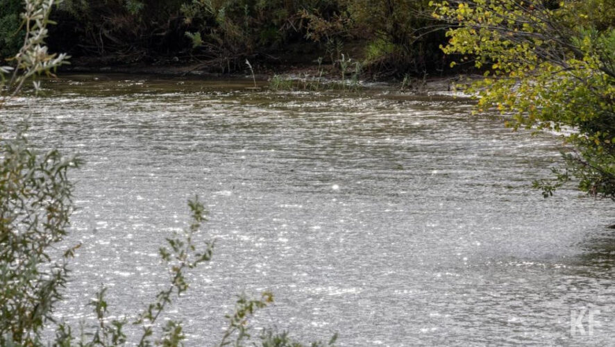 Проектно-сметную документацию разработает компания &laquo;Эко Гранд&raquo;.