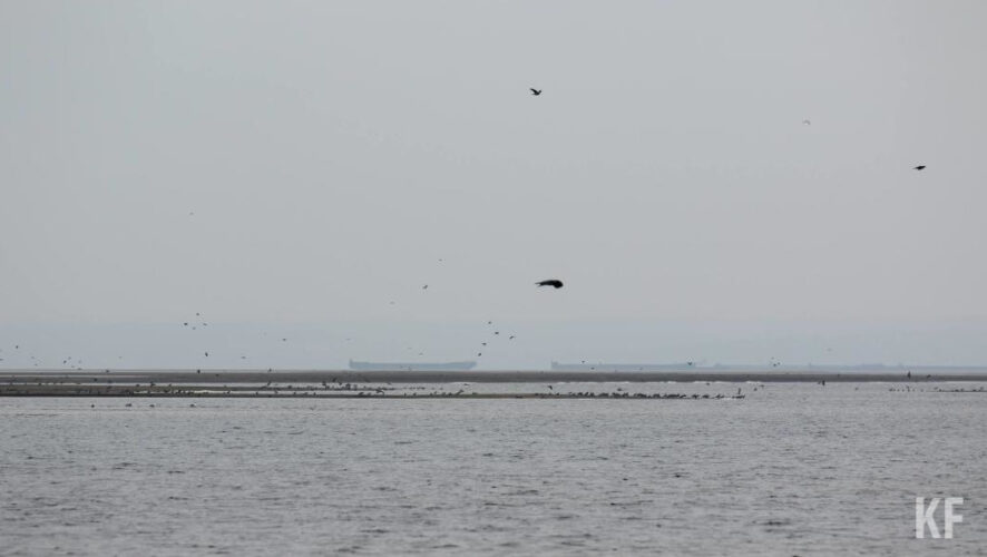 Основная причина несчастных случаев - распитие спиртного.