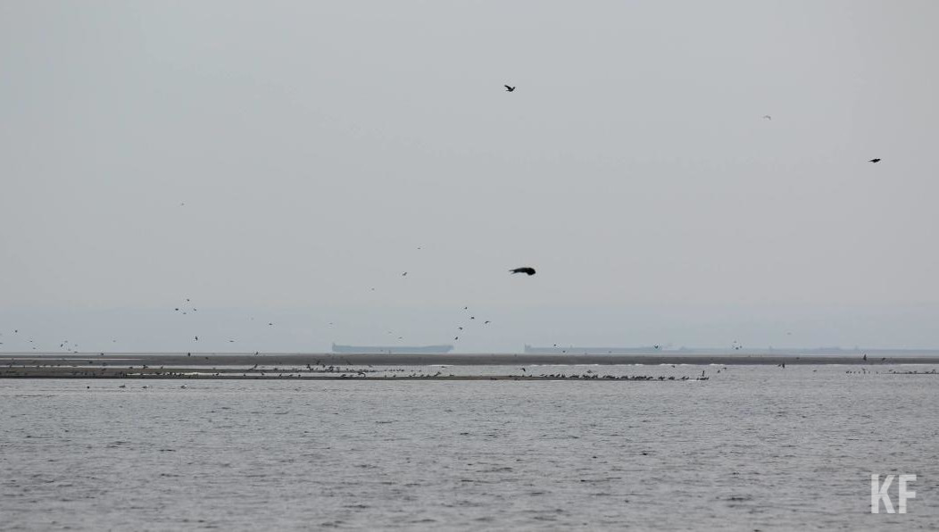 Основная причина несчастных случаев - распитие спиртного.