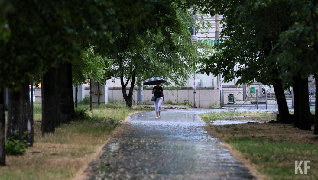 В республике пройдут дожди