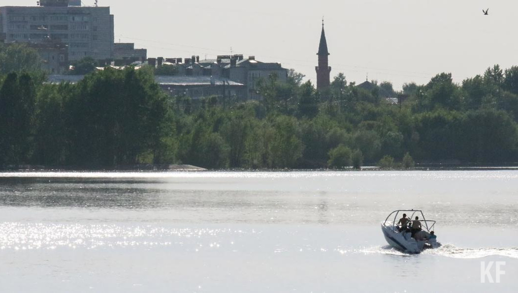 Компанию организовали для развития пассажирских перевозок внутренним водным транспортом.