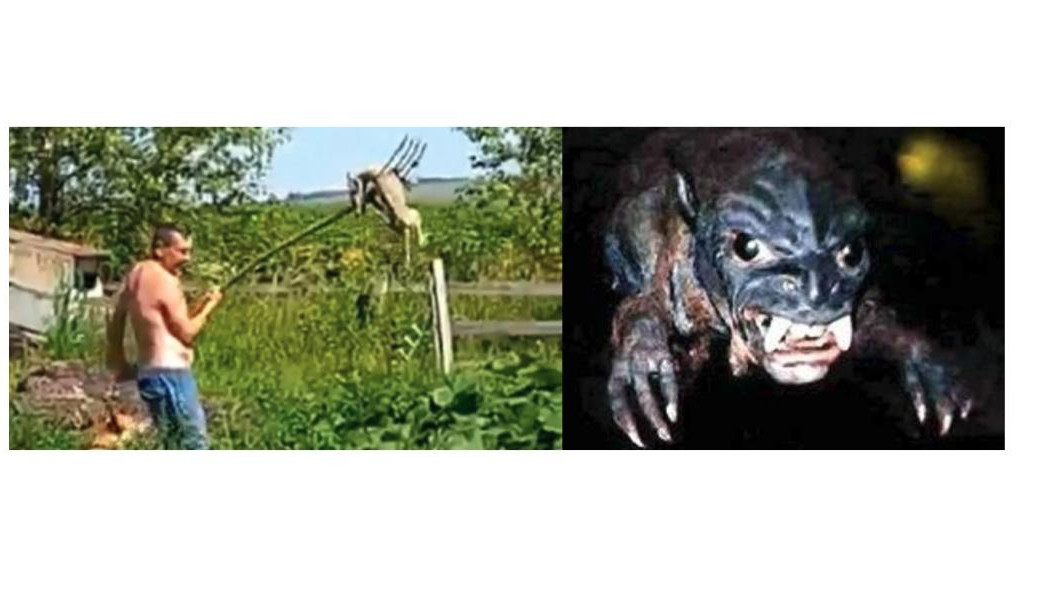 Животное душило птиц