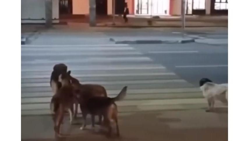 Автор кадров подчеркнул