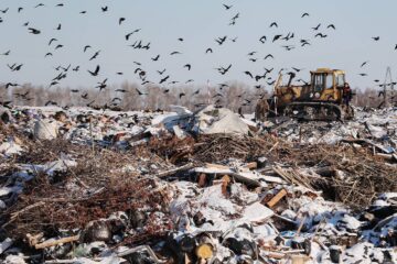 Переработка мусора в Альметьевске: монополия «Гринты» и завышенные тарифы