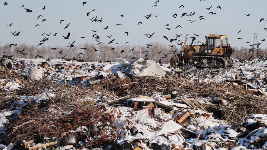 Переработка мусора в Альметьевске: монополия «Гринты» и завышенные тарифы