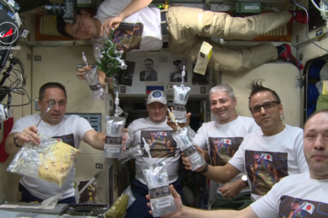 В канун Старого Нового года российские космонавты на МКС Александр Мисуркин и Антон Шкаплеров записали «космический «Смак»