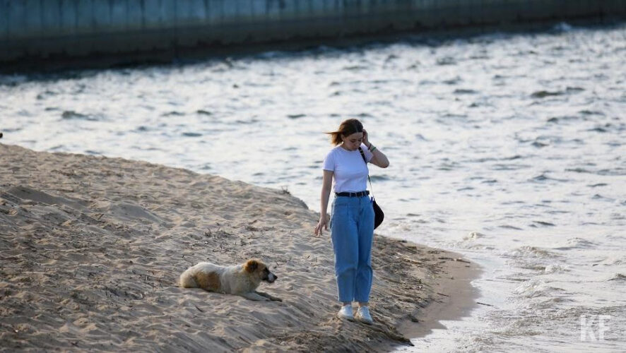 Вакцинацию можно будет получить в жилых массивах Кадышево