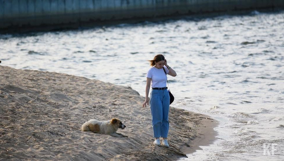 Вакцинацию можно будет получить в жилых массивах Кадышево