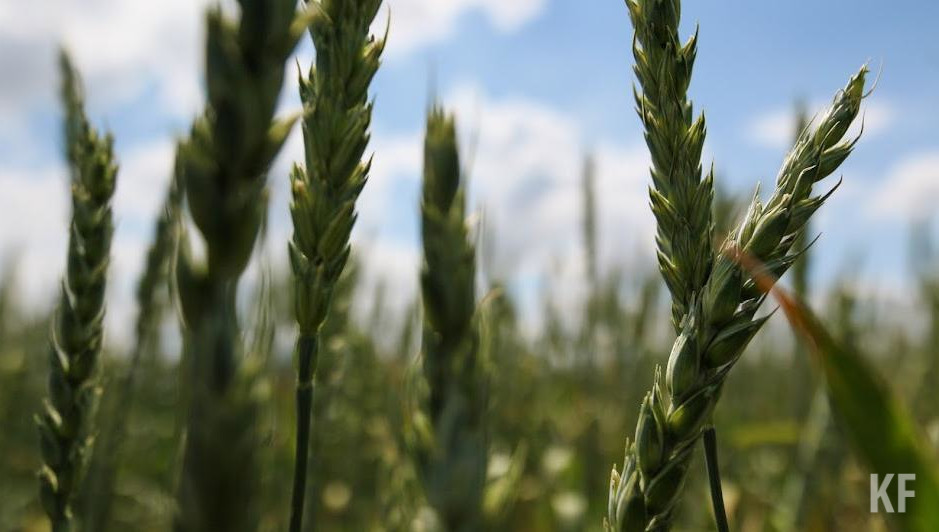 Размер ущерба составляет 300