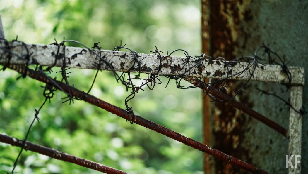 Своими действиями руководство нарушило земельное законодательство России.