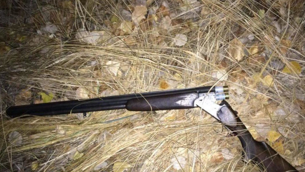 Законом предусматривается