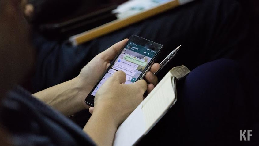 Правоохранители и кинологи проверяют школы и детские сады.