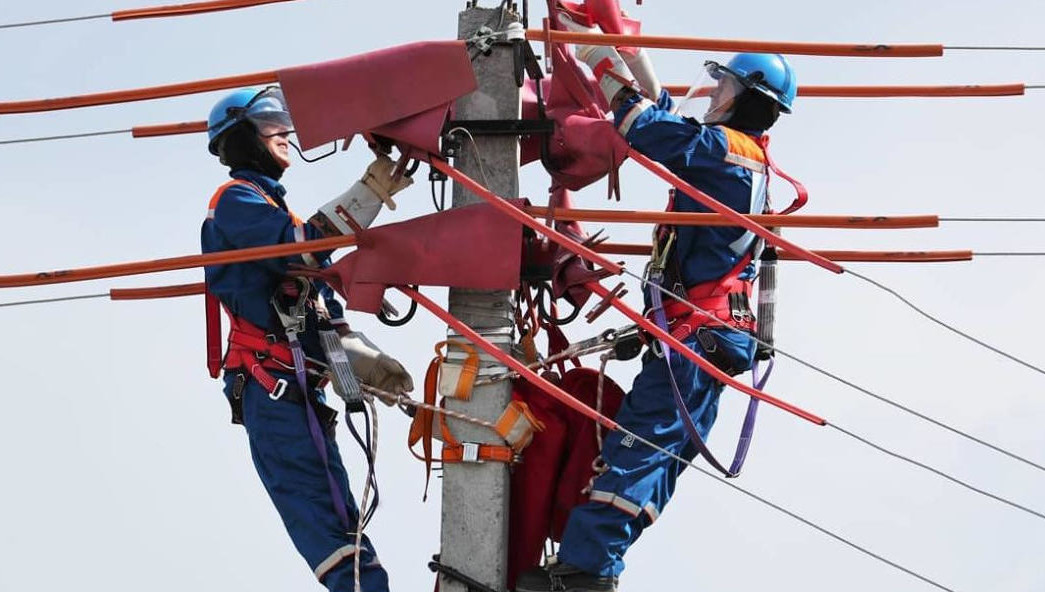 Председатель Общественного совета садоводов Татарстана Дмитрий Воробьев пытается с этим разобраться.