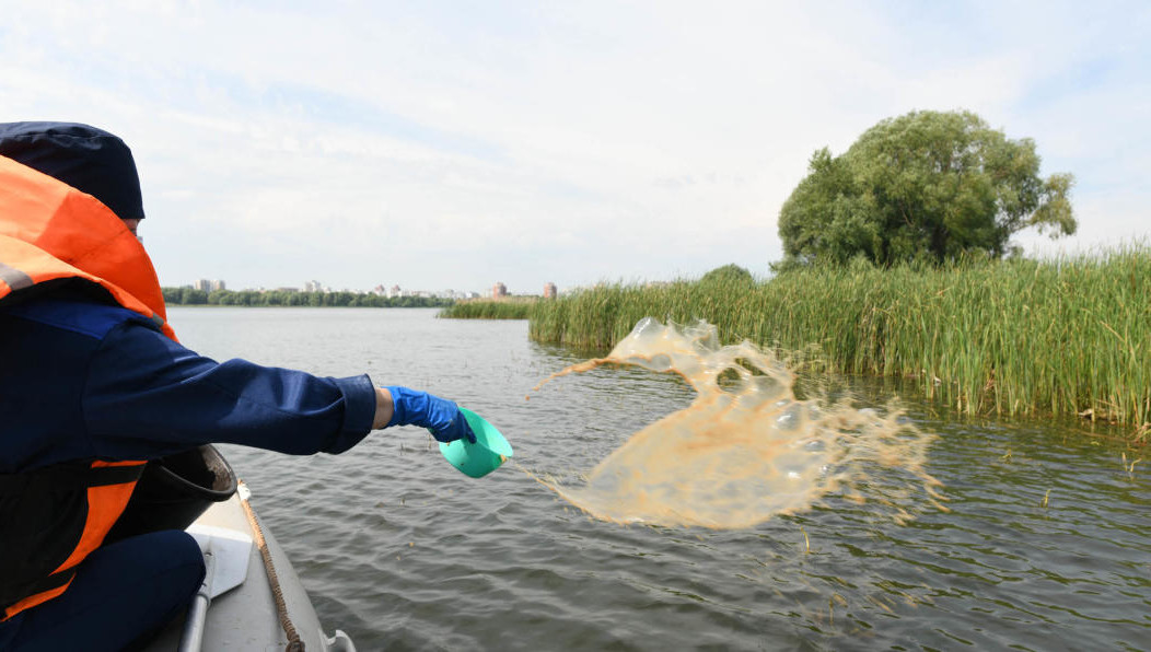 Работы проводятся в сухую безветренную погоду.