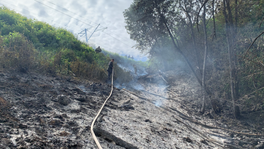 Всего экоактивисты обнаружили более сотни очагов возгорания.