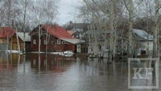Под талой водой в Татарстане постепенно оказываются населенные пункты и мосты. В результате обильного снеготаяния сегодня в зону подтопления попали два низководных автомобильных