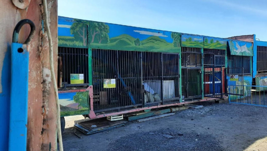 На директора ООО «Предприятие культуры и отдыха Зоолунапарк "Барс"» и юрлицо возбудили административные дела.