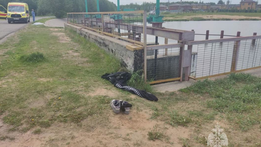 Попытки спасти одного из них не увенчались успехом.