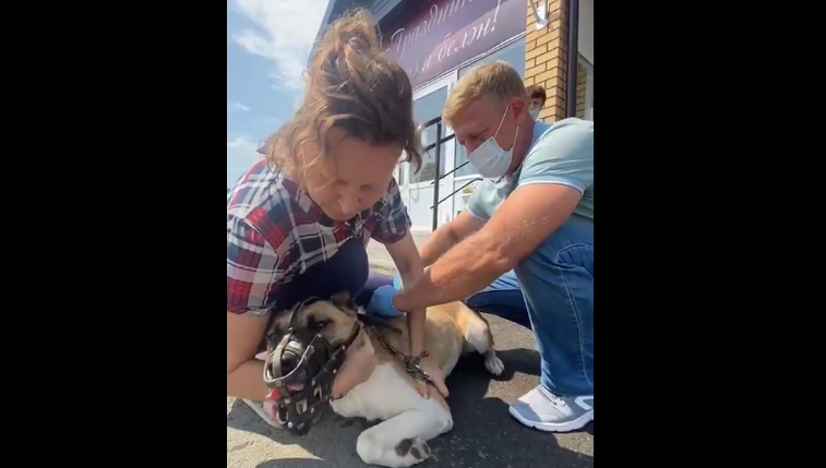 Через неделю мобильный пункт будет работать в Северном.