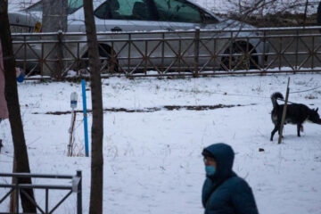 Штраф для хозяев составит от 1 до 3 тысяч рублей.