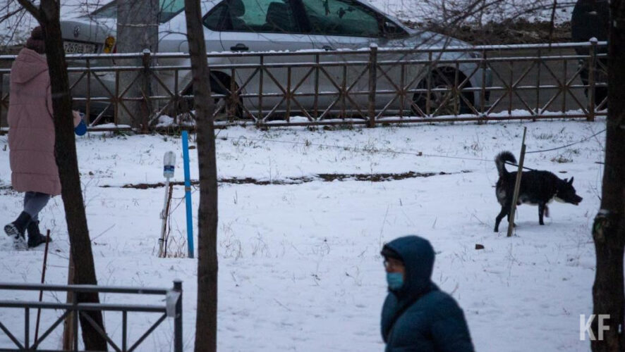 Штраф для хозяев составит от 1 до 3 тысяч рублей.