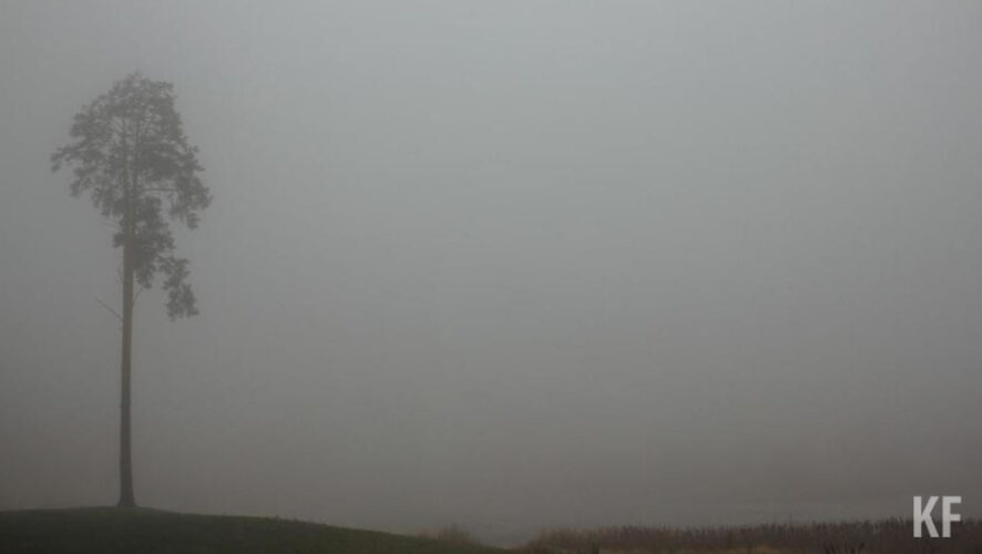 Теплая погода в республике сохраняется.