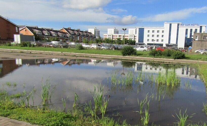 Лужа Мира и болото раздора вокруг челнинского дворца