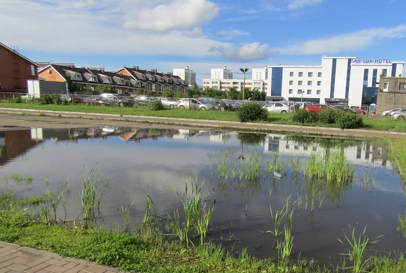 Лужа Мира и болото раздора вокруг челнинского дворца