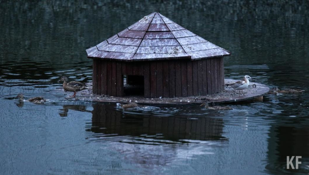 Представители власти опасаются резкого повышения температуры воздуха в апреле.