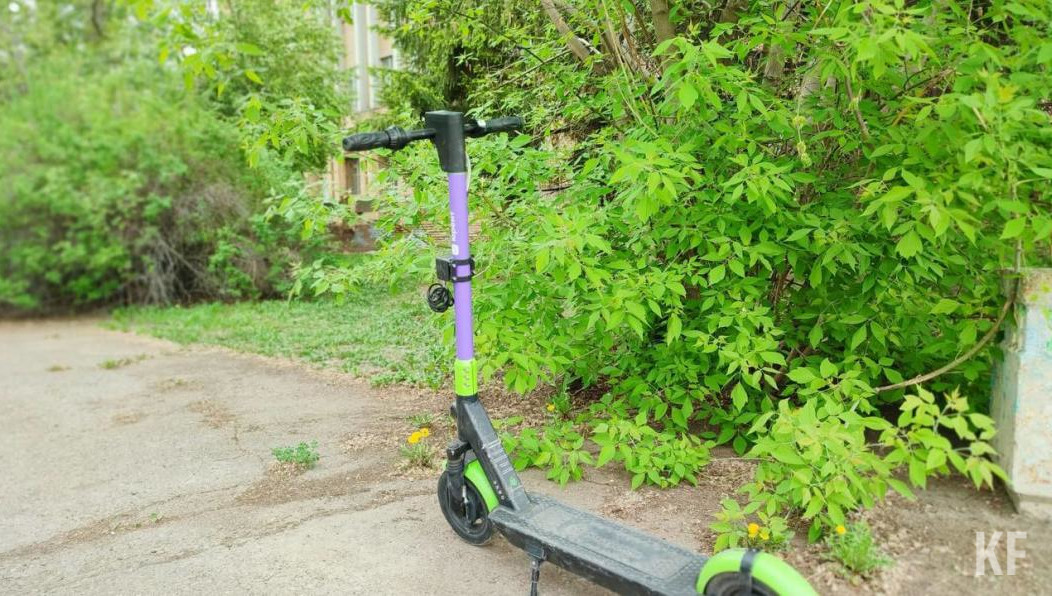 Каждый заплатит штраф 800 рублей.