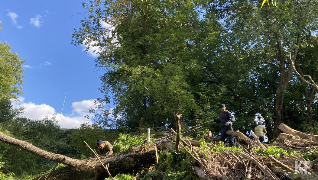 От завалов деревьев привели в порядок 12 километров реки.