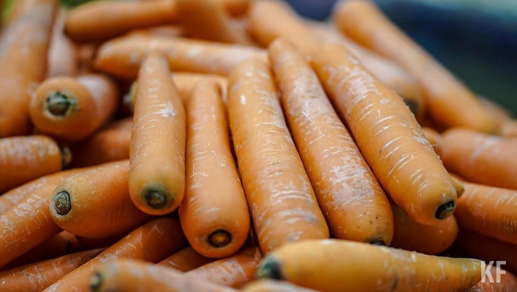 «Зайцы» были удивлены такой идее