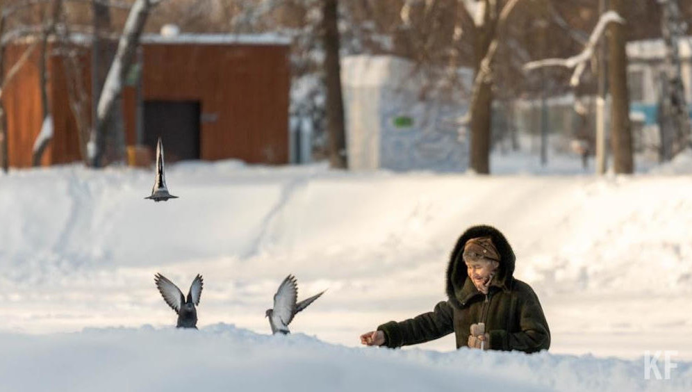 В перечень дающих право на выход на досрочную пенсию хотят включить некоторые периоды обучения.