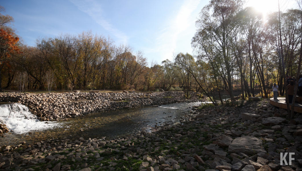 Программа рассчитана на три года.
