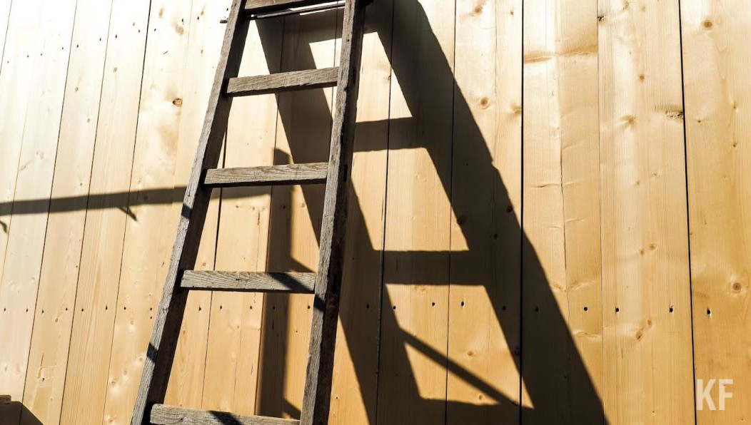 По мнению Рослесхоза