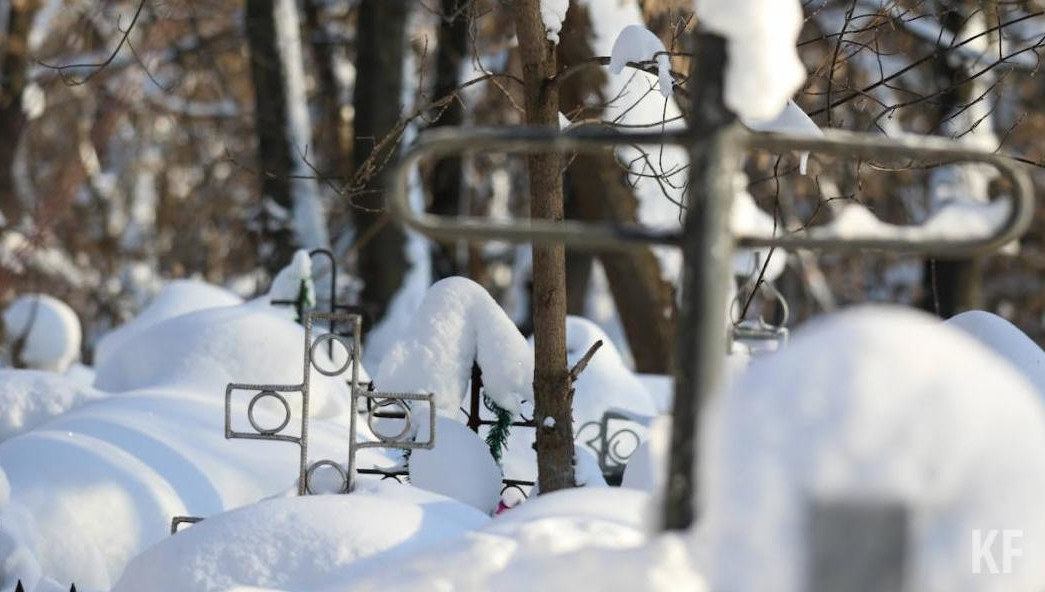В данном округе нет организаций